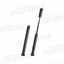 autoantenne