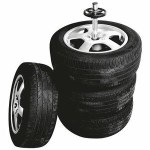Carpoint velgenstandaard met hoes|Autoshop.nl