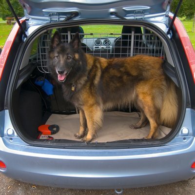 Hondenrek gaaswerk universeel | Autoshop.nl