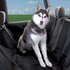 Autoshop|Beschermdeken hond